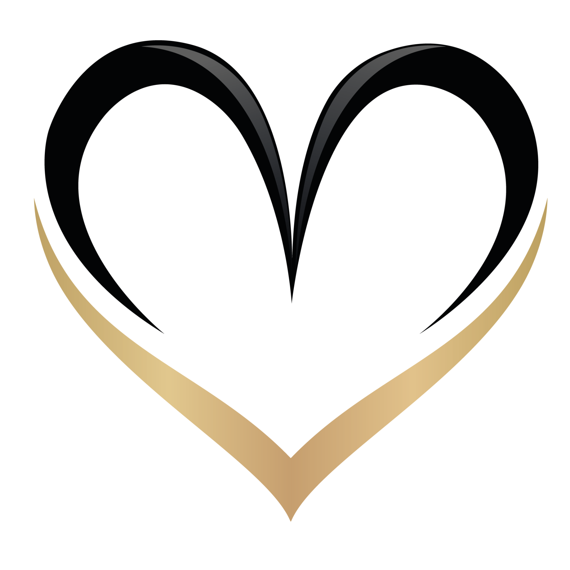MagnetAura icon